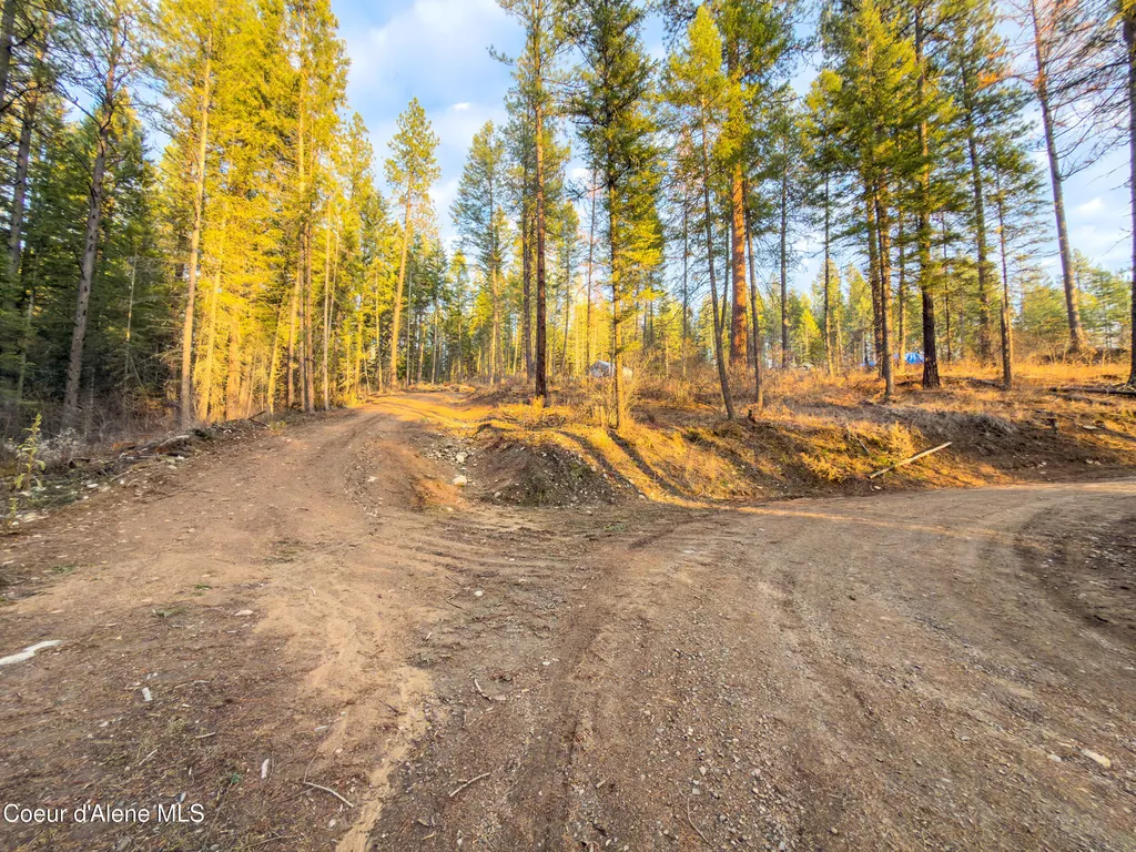 320 Towering Pines Drive (5 Ac) Sagle ID 83860