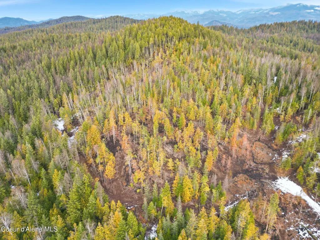 Nka Quartz Creek Road Priest River ID 83856