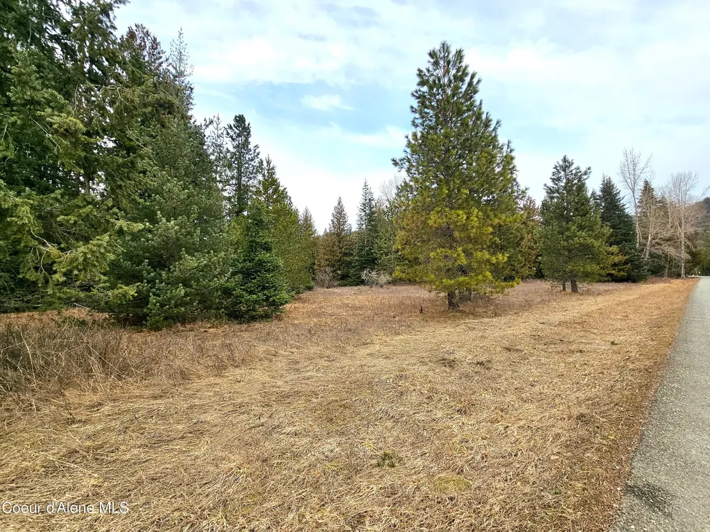 Nna Lightning Creek Road Clark Fork ID 83811