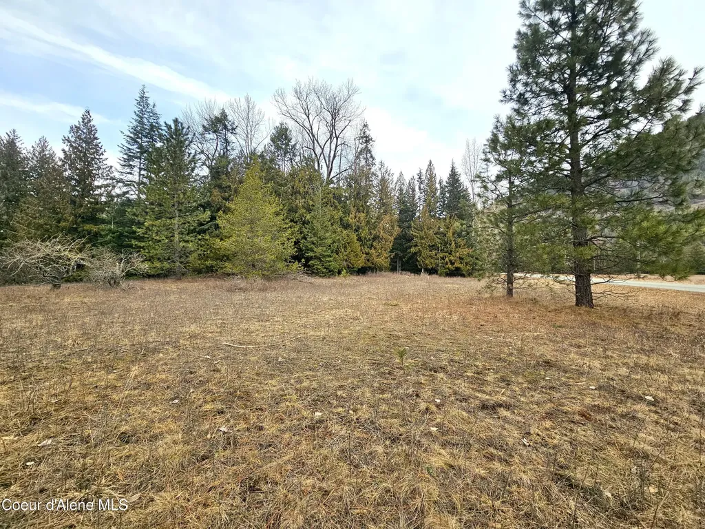 Nna Lightning Creek Road Clark Fork ID 83811