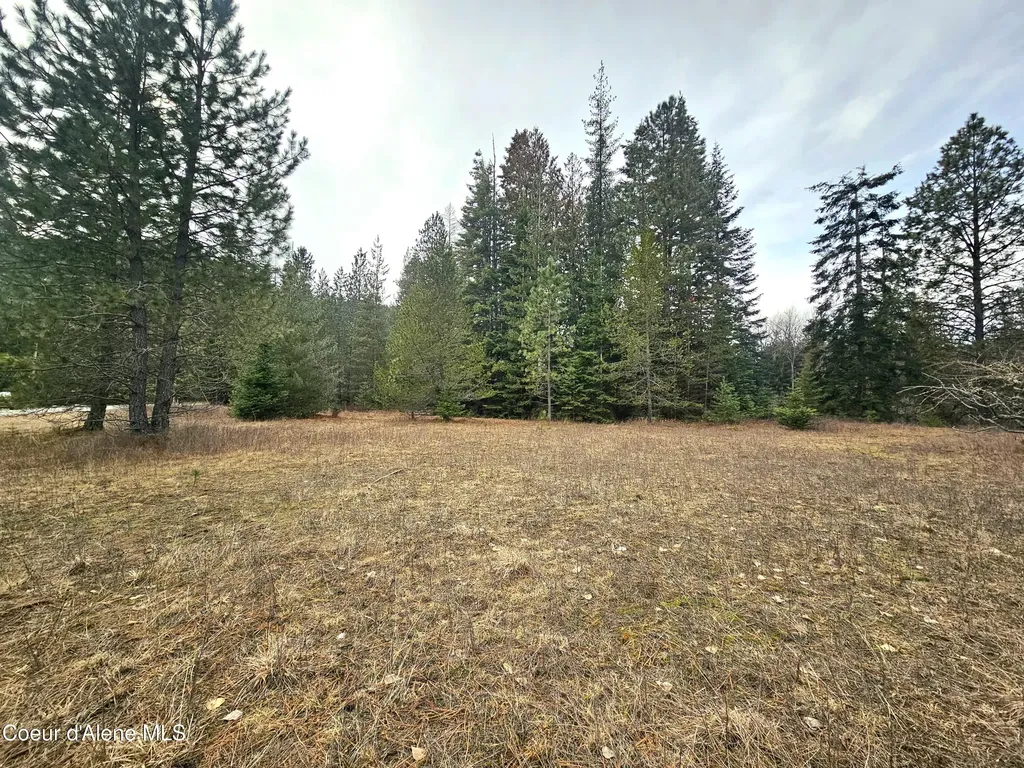 Nna Lightning Creek Road Clark Fork ID 83811