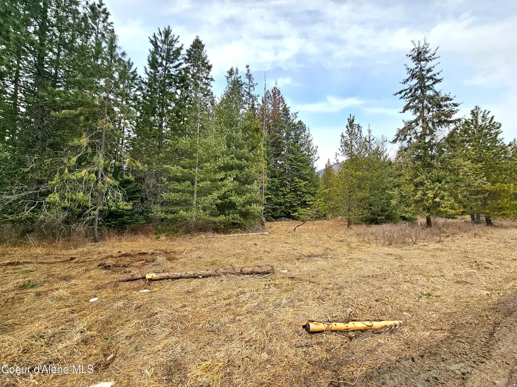 Nna Lightning Creek Road Clark Fork ID 83811