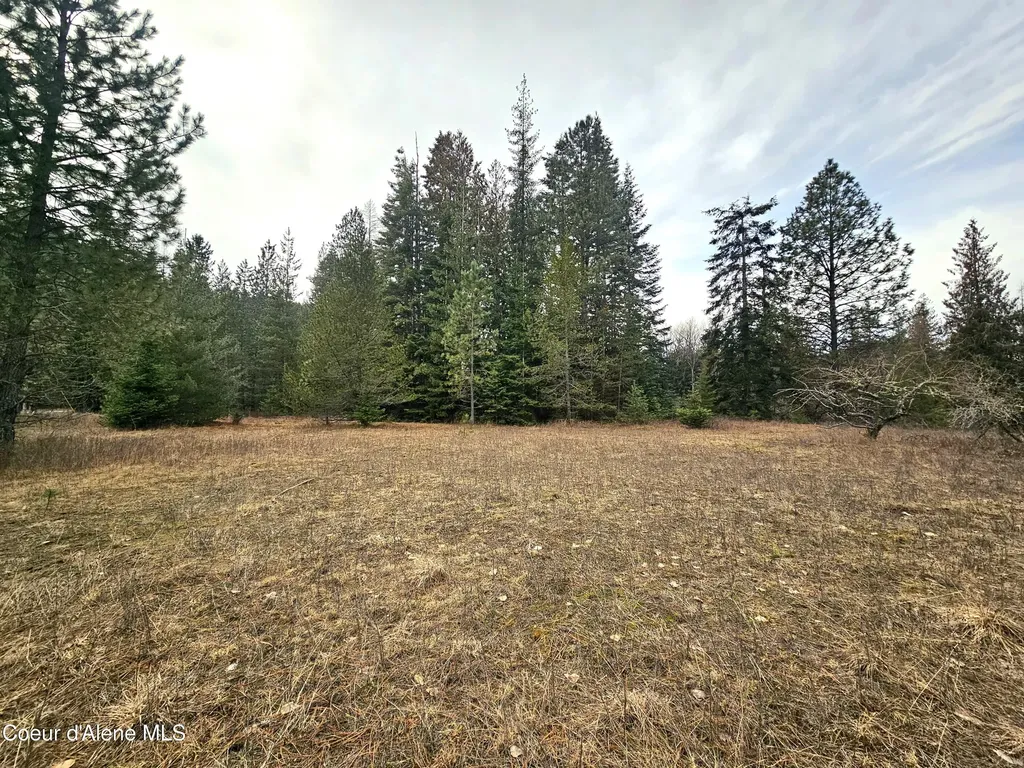 Nna Lightning Creek Road Clark Fork ID 83811