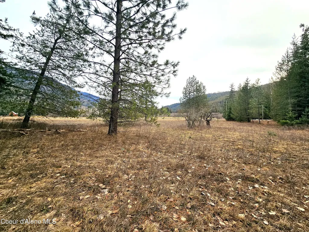 Nna Lightning Creek Road Clark Fork ID 83811