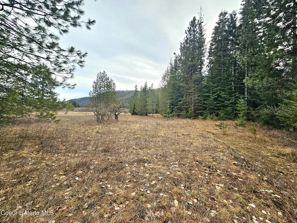 Nna Lightning Creek Road Clark Fork ID 83811