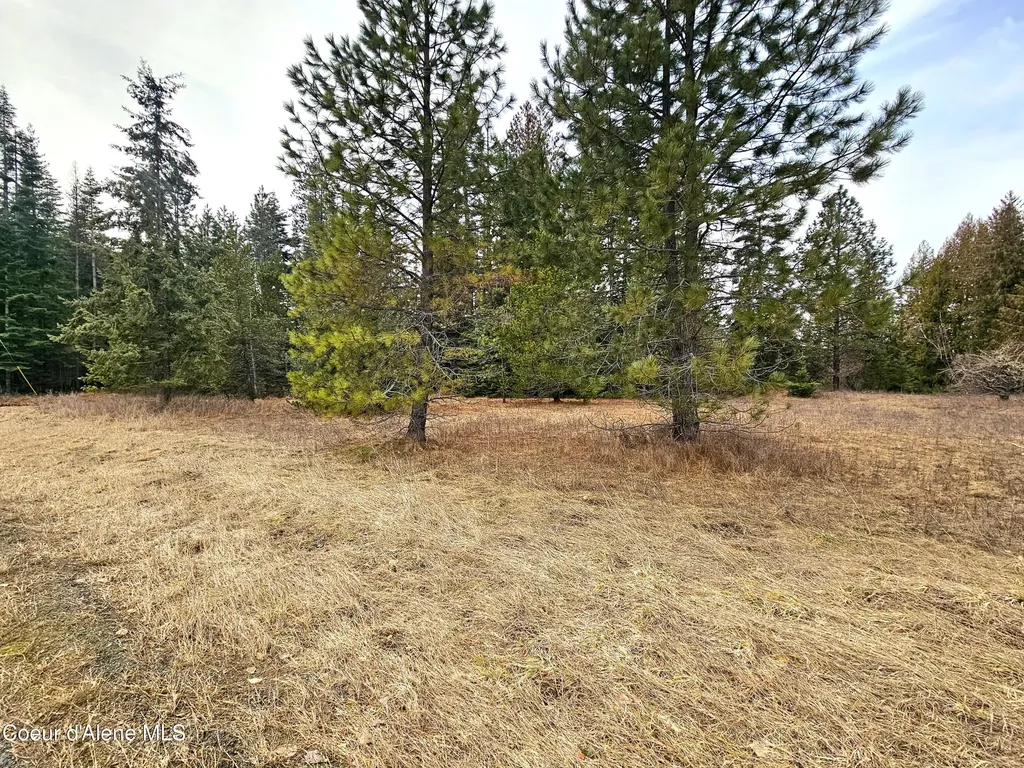 Nna Lightning Creek Road Clark Fork ID 83811