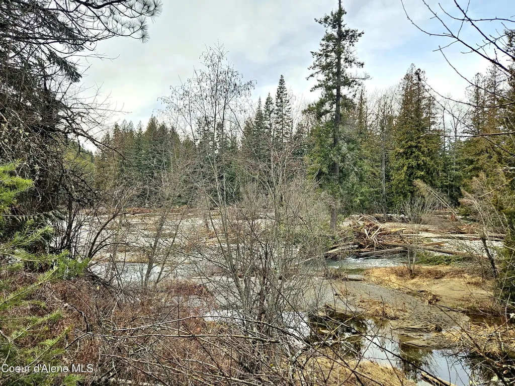 Nna Lightning Creek Road Clark Fork ID 83811
