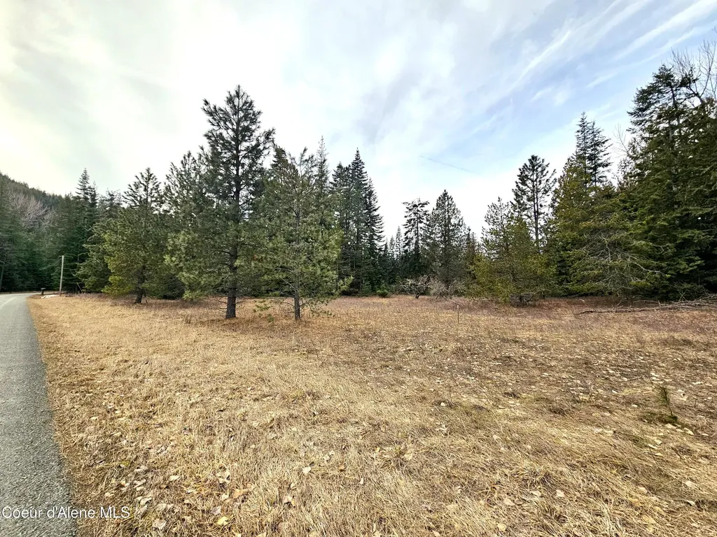 Nna Lightning Creek Road Clark Fork ID 83811