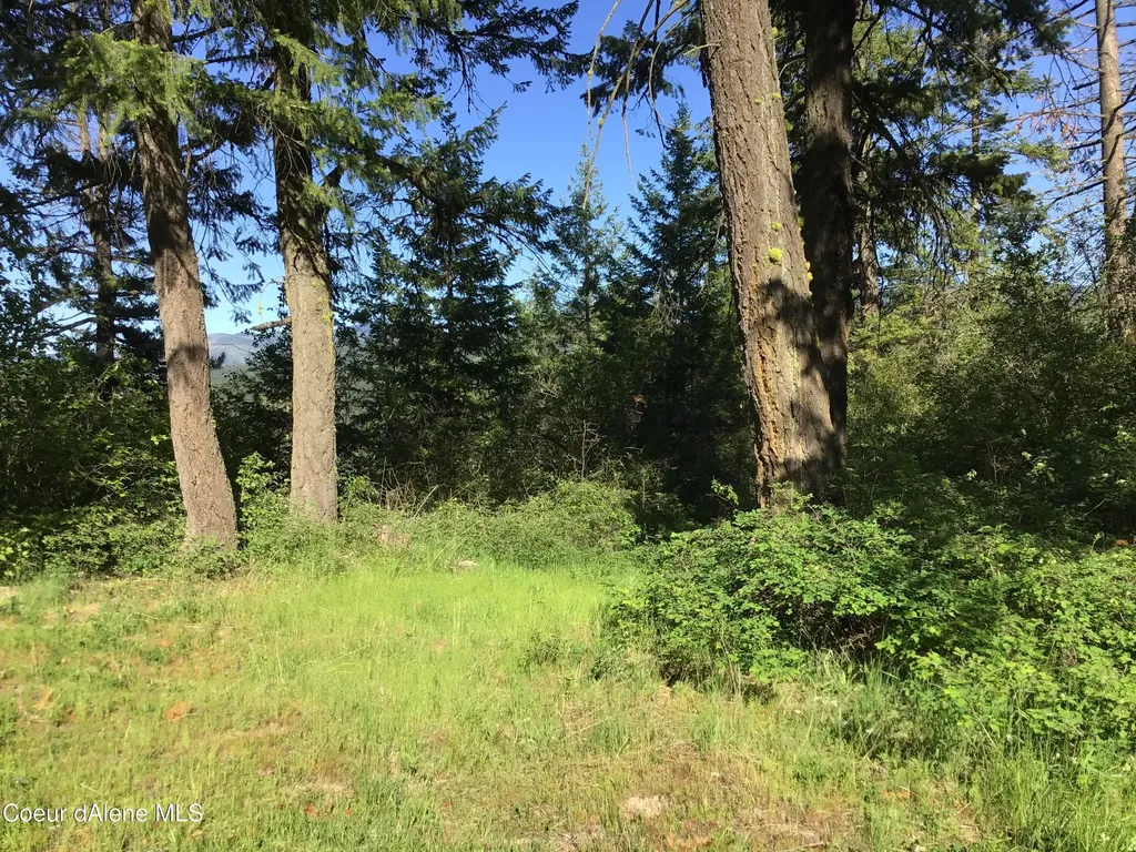 Rufus Trail Lts 4, 5, 6, 7 St. Maries ID 83861