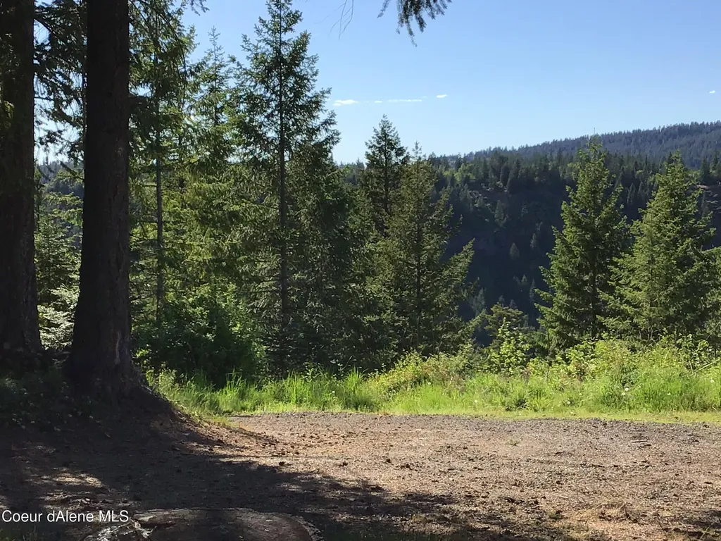 Rufus Trail Lts 4, 5, 6, 7 St. Maries ID 83861