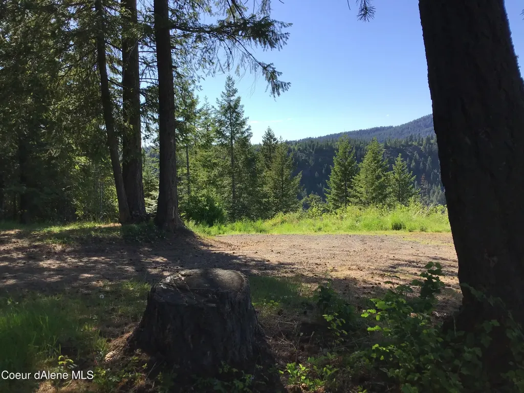 Rufus Trail Lts 4, 5, 6, 7 St. Maries ID 83861