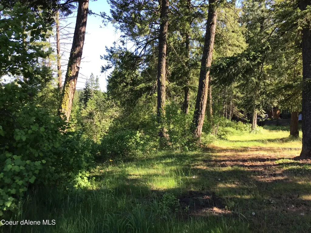 Rufus Trail Lts 4, 5, 6, 7 St. Maries ID 83861