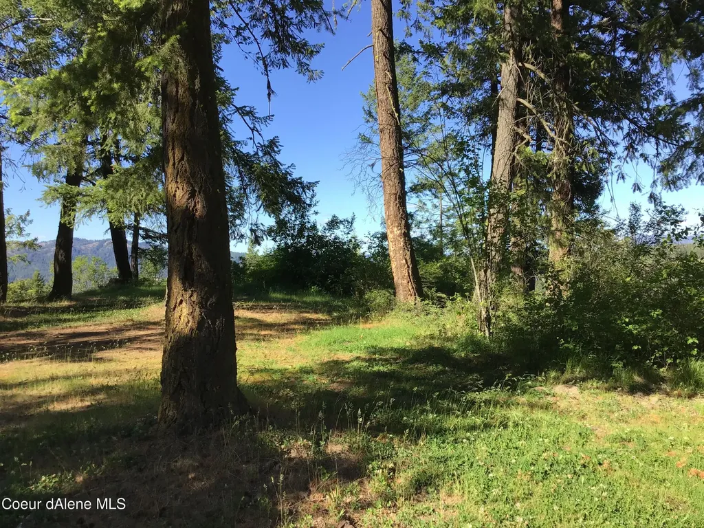 Rufus Trail Lts 4, 5, 6, 7 St. Maries ID 83861