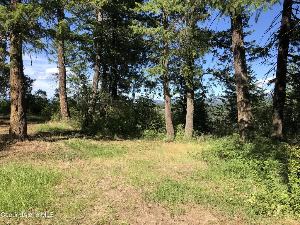 Rufus Trail Lts 4, 5, 6, 7 St. Maries ID 83861