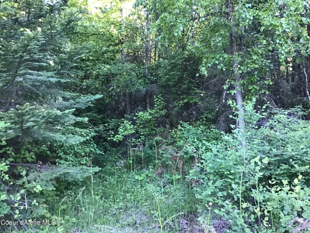 Rufus Trail Lts 4, 5, 6, 7 St. Maries ID 83861