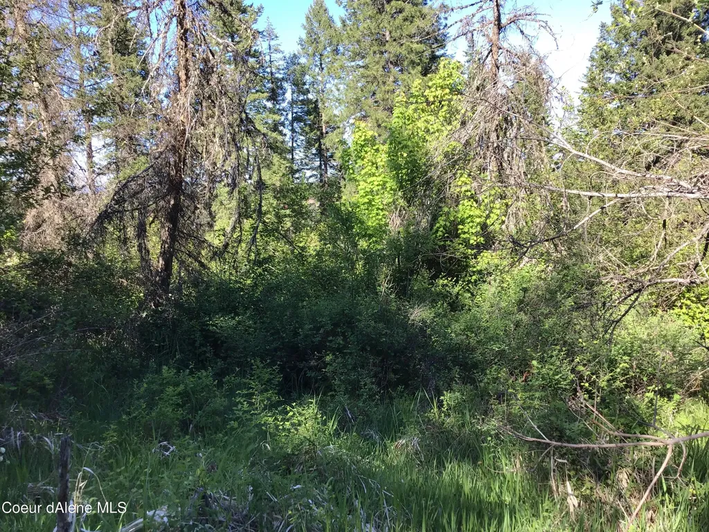Rufus Trail Lts 4, 5, 6, 7 St. Maries ID 83861