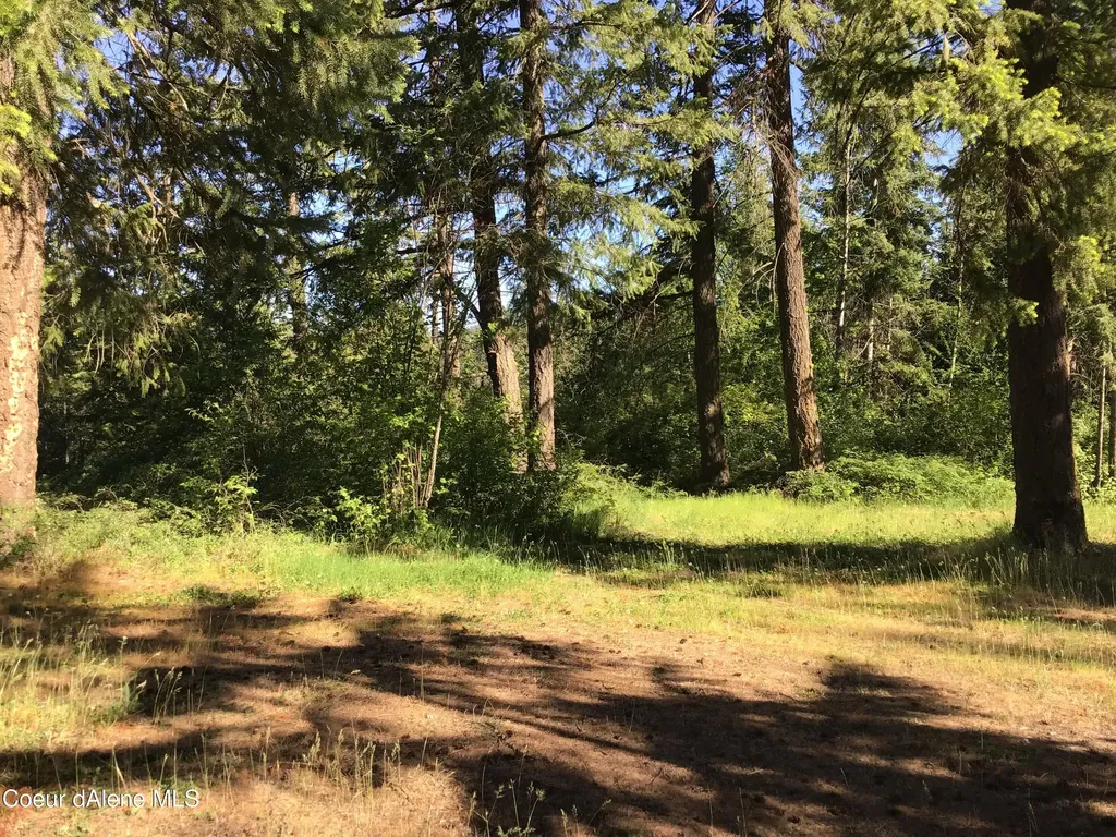 Rufus Trail Lts 4, 5, 6, 7 St. Maries ID 83861