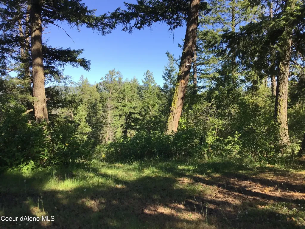 Rufus Trail Lts 4, 5, 6, 7 St. Maries ID 83861
