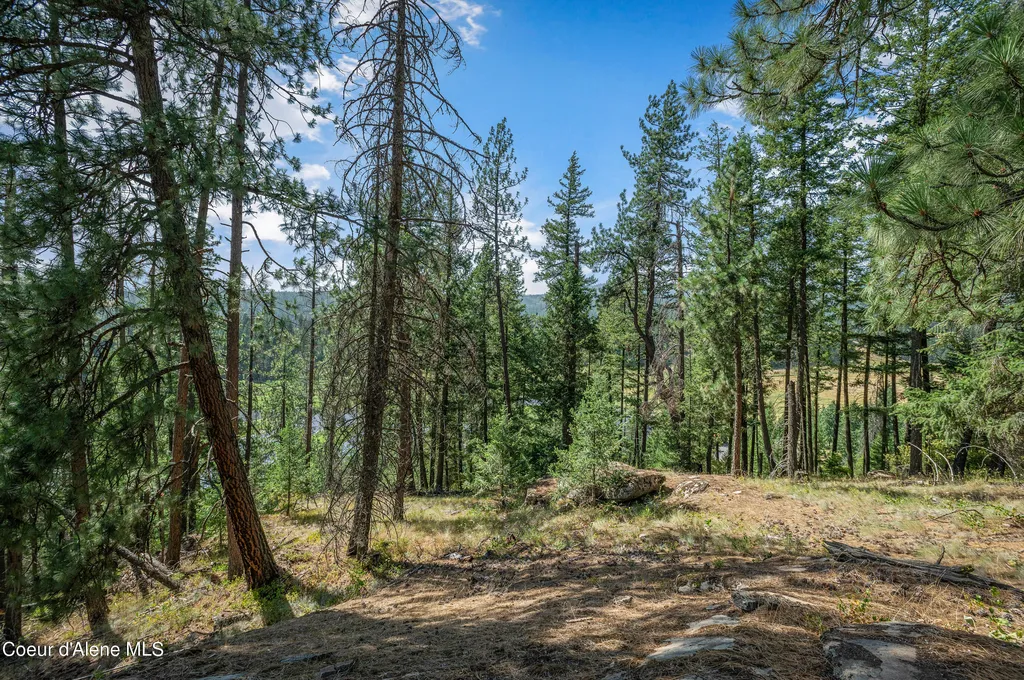 16154 N Smith Avenue Hauser ID 83854