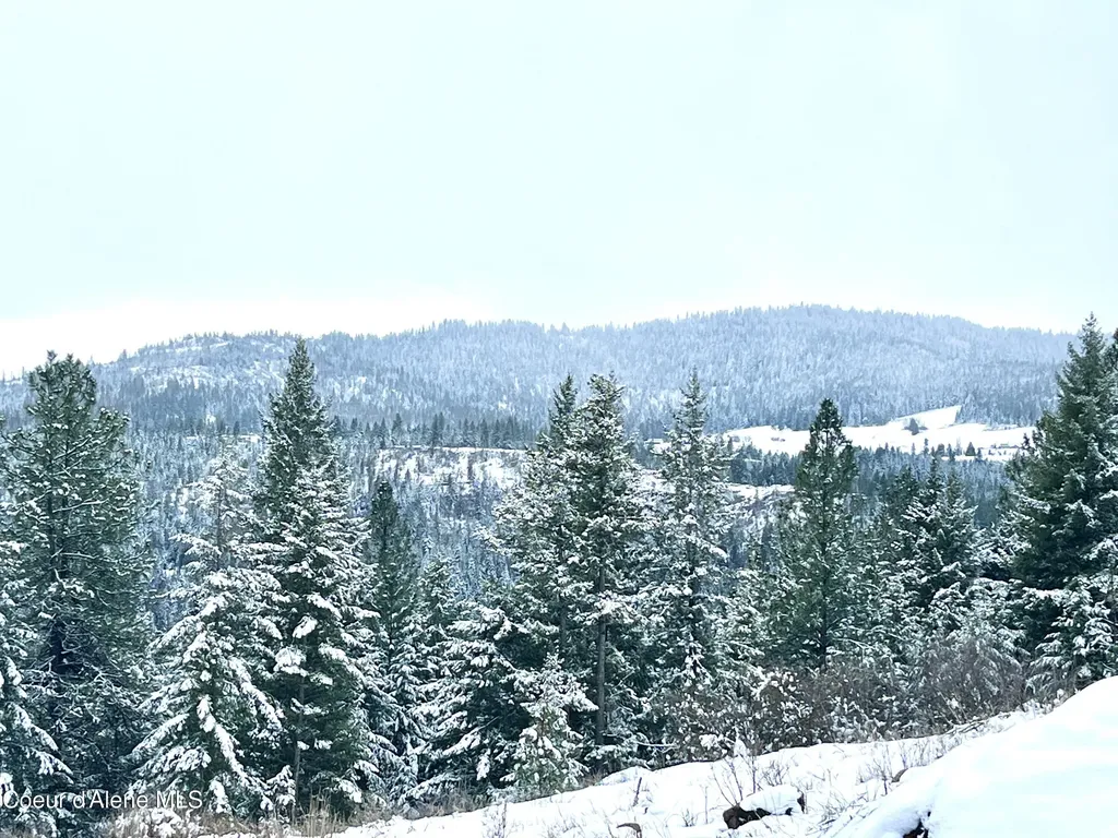 13416 S Runway Lane Harrison ID 83833