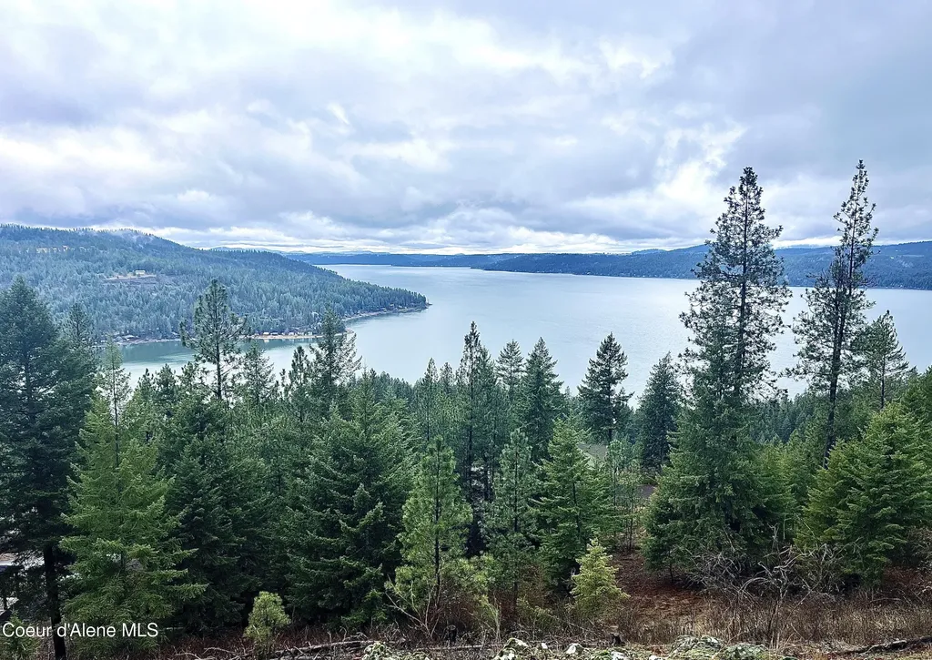 13416 S Runway Lane Harrison ID 83833