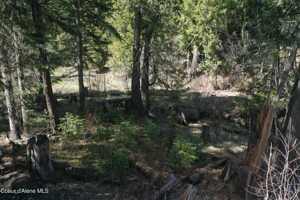 Nka Sanders Road St. Maries ID 83861