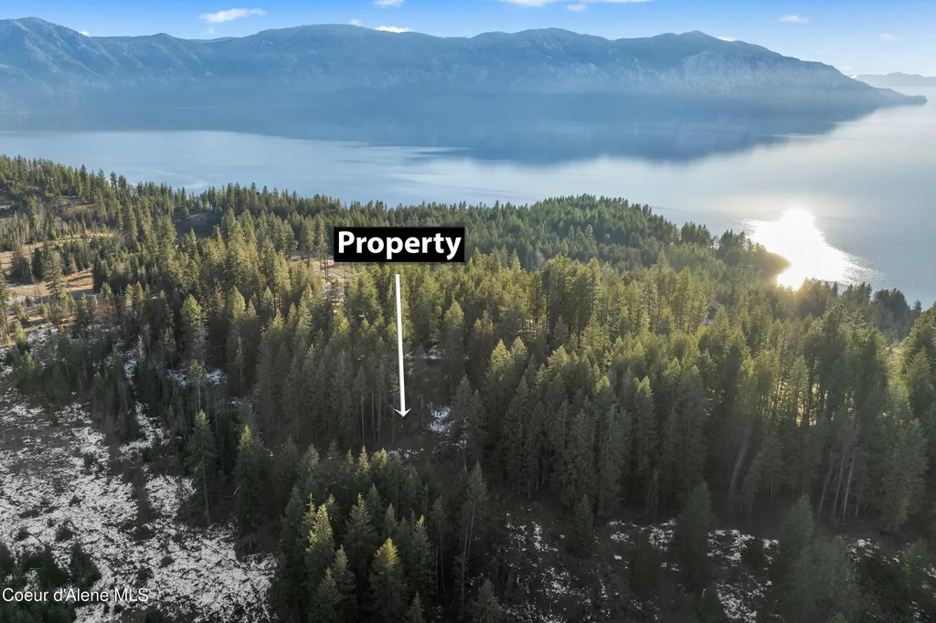 BLK1LOT3 Sasha Point Hope ID 83836