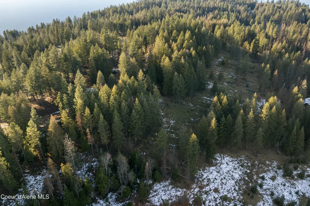 BLK1LOT3 Sasha Point Hope ID 83836