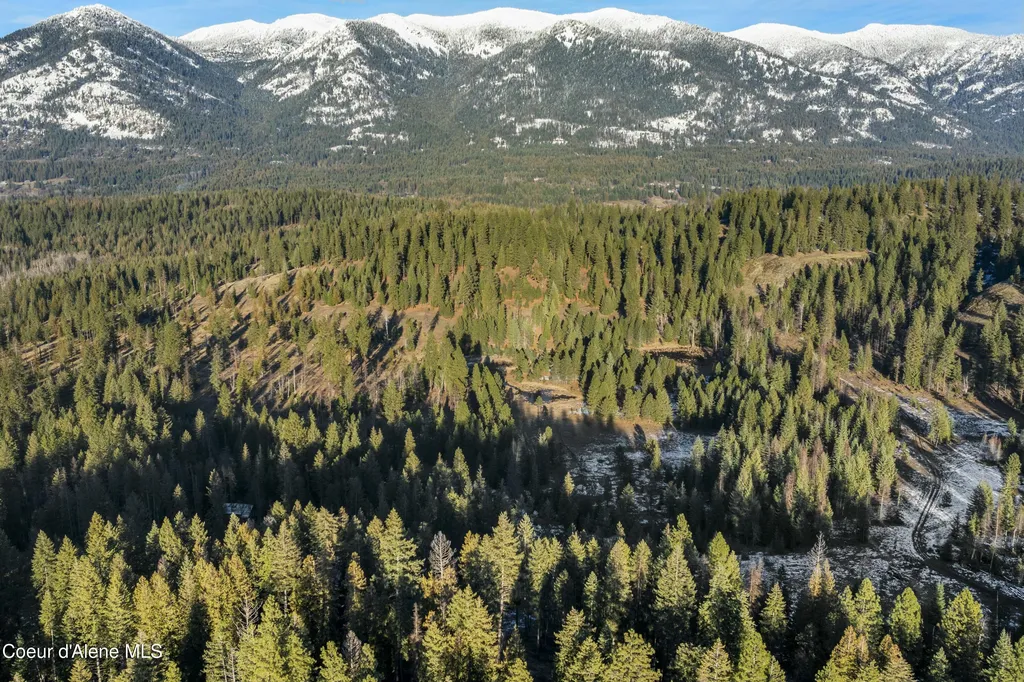 BLK1LOT3 Sasha Point Hope ID 83836