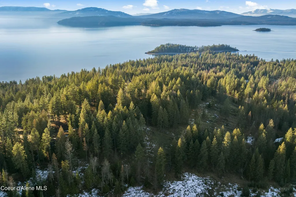 BLK1LOT3 Sasha Point Hope ID 83836
