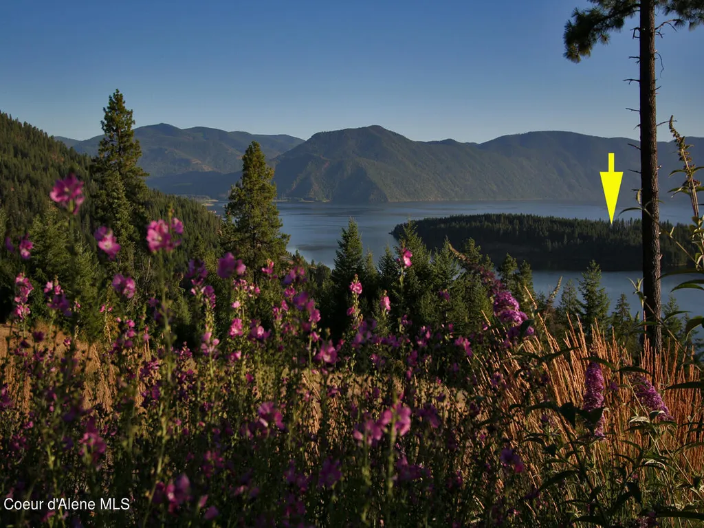 BLK1LOT3 Sasha Point Hope ID 83836