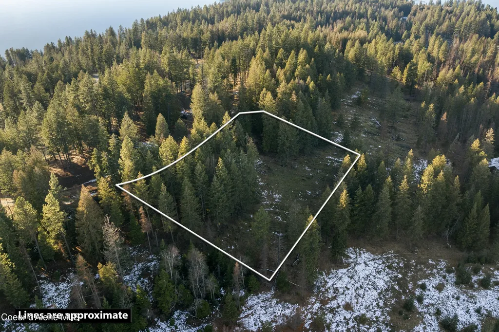 BLK1LOT3 Sasha Point Hope ID 83836
