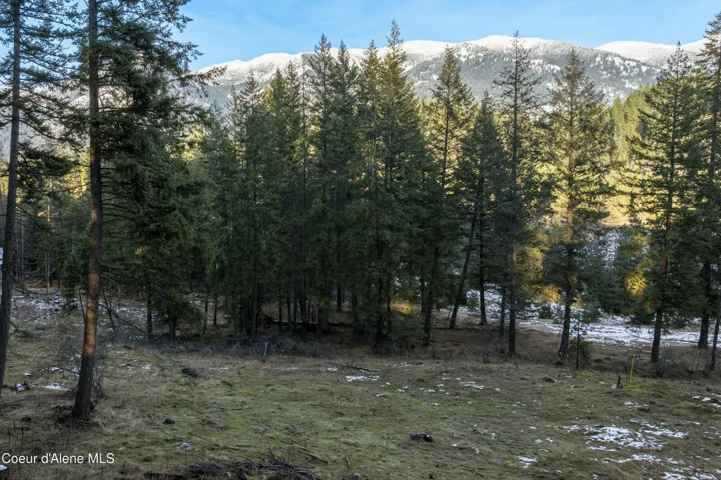 BLK1LOT3 Sasha Point Hope ID 83836