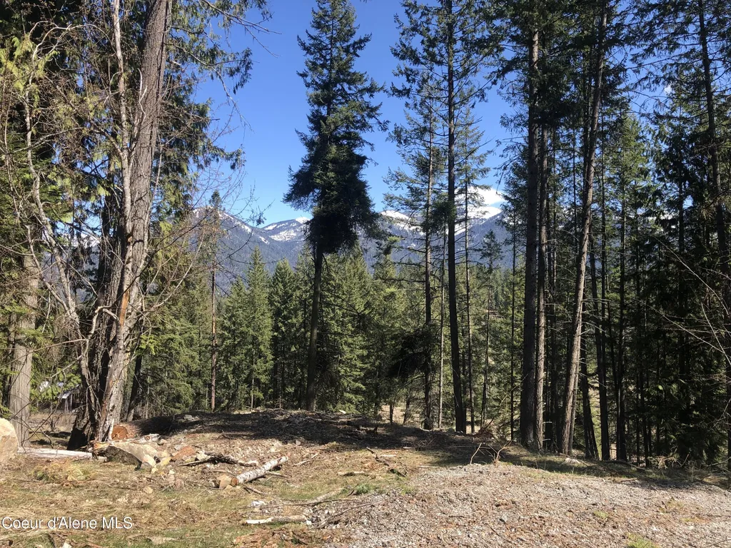 BLK1LOT3 Sasha Point Hope ID 83836