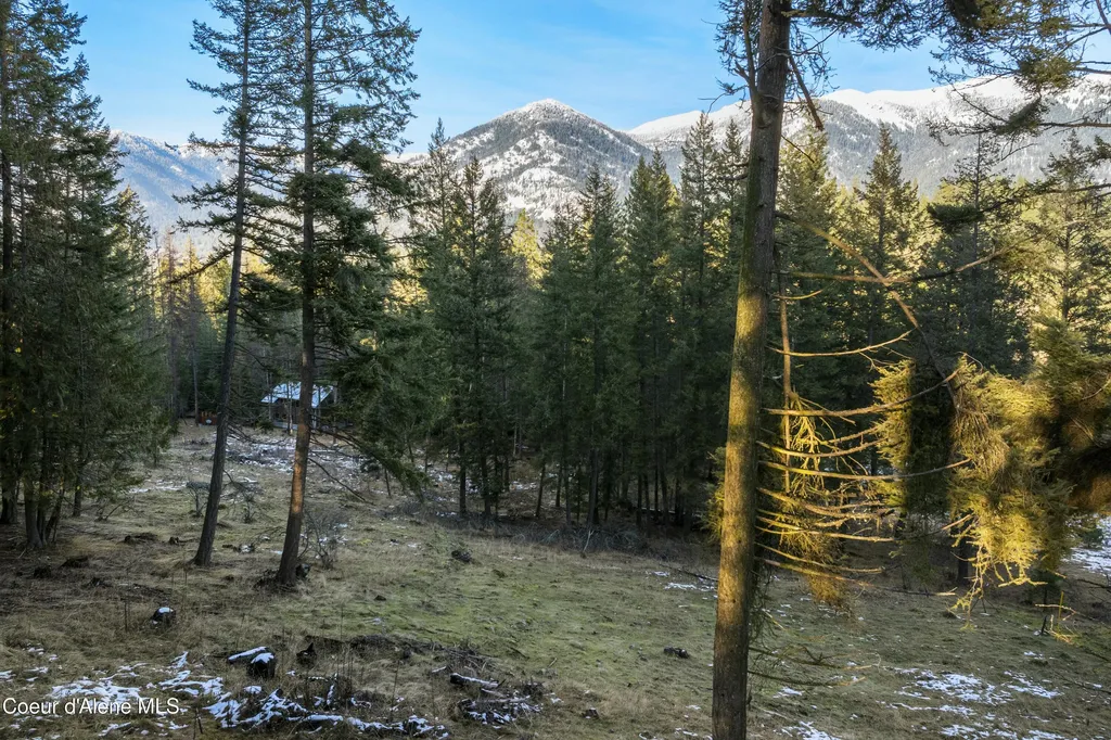 BLK1LOT3 Sasha Point Hope ID 83836