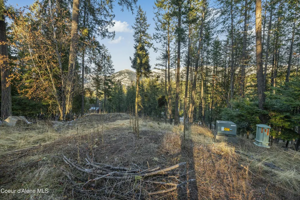BLK1LOT3 Sasha Point Hope ID 83836