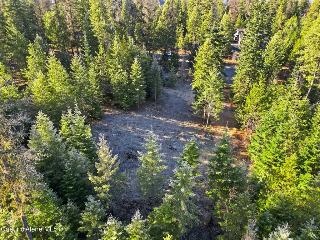 13 Christensen Avenue Priest River ID 83856