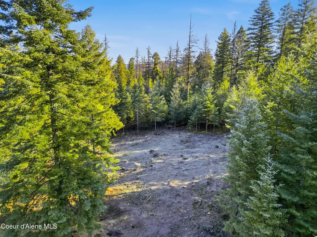 13 Christensen Avenue Priest River ID 83856