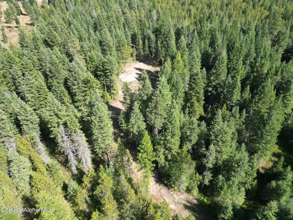 Lot 3 Werre Road Rathdrum ID 83858