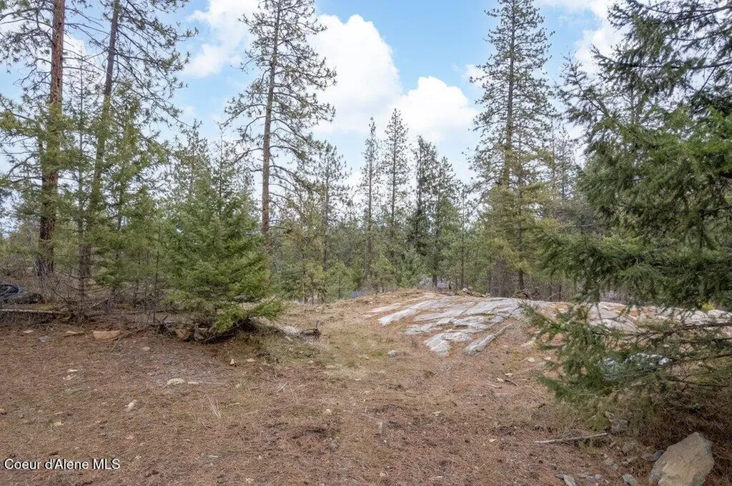 Nna S. Schilling Loop Post Falls ID 83854