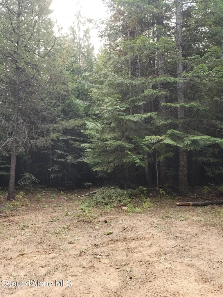 80 E Ridge Drive (tract 8) St. Maries ID 83861