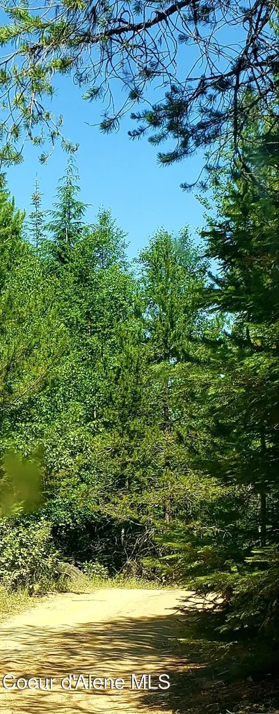 80 E Ridge Drive (tract 8) St. Maries ID 83861