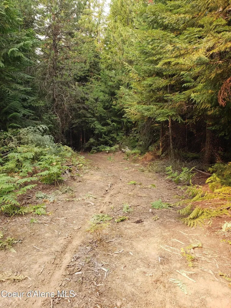 80 E Ridge Drive (tract 8) St. Maries ID 83861