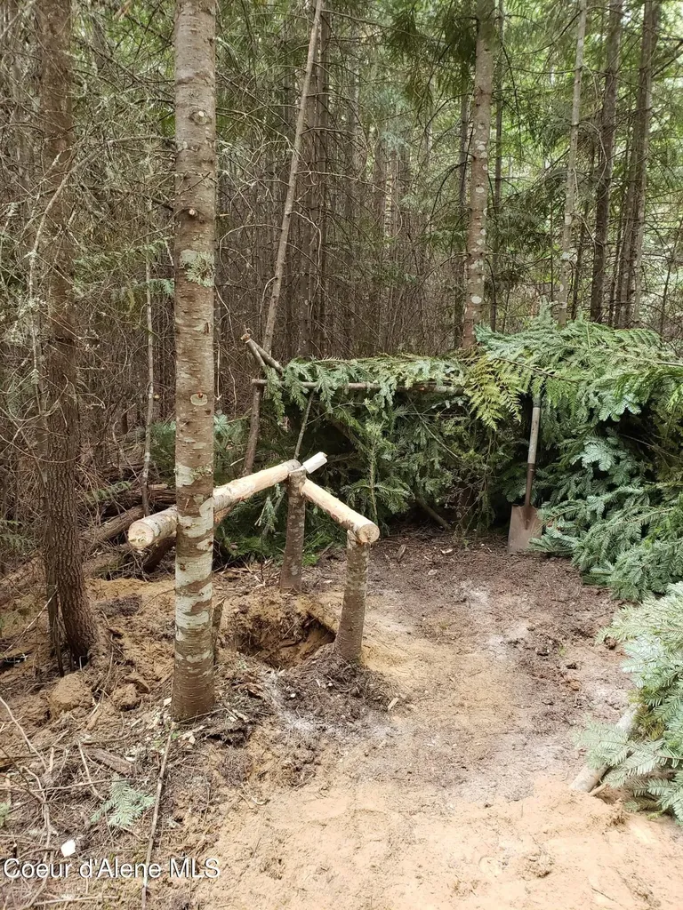 80 E Ridge Drive (tract 8) St. Maries ID 83861