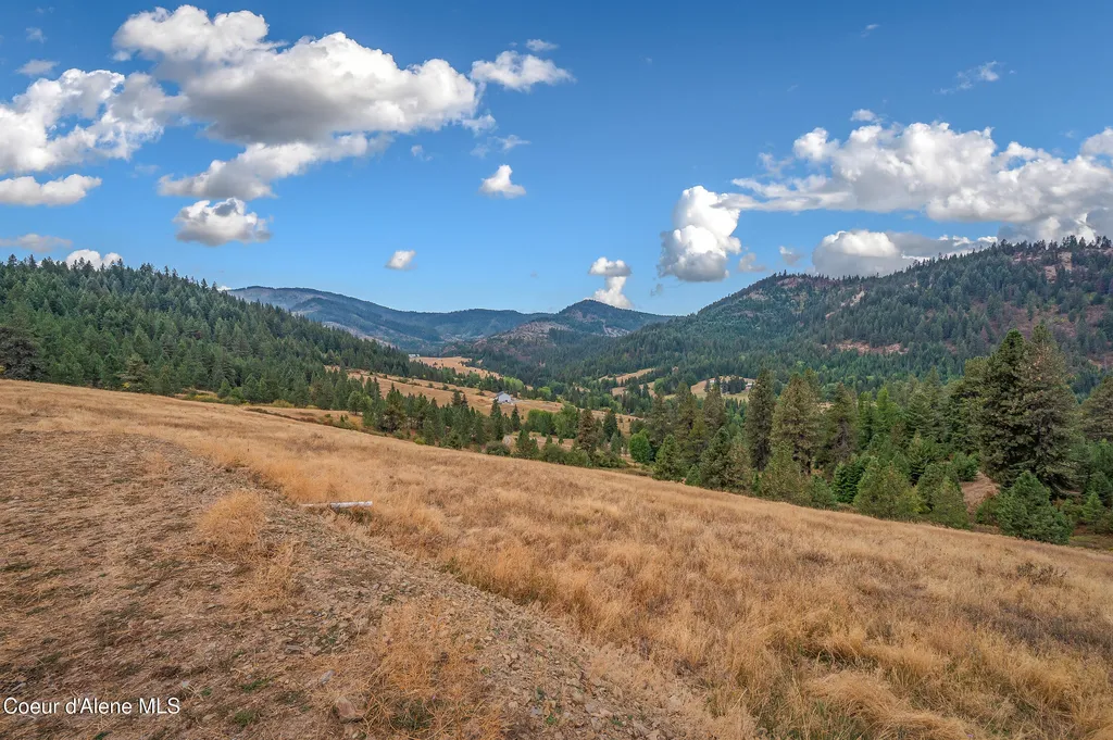 26706 S Willow Creek Road Medimont ID 83842