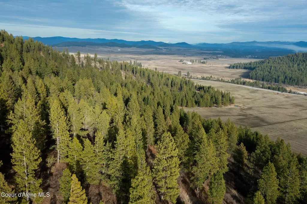 Nka 15 Acres Worley ID 83876