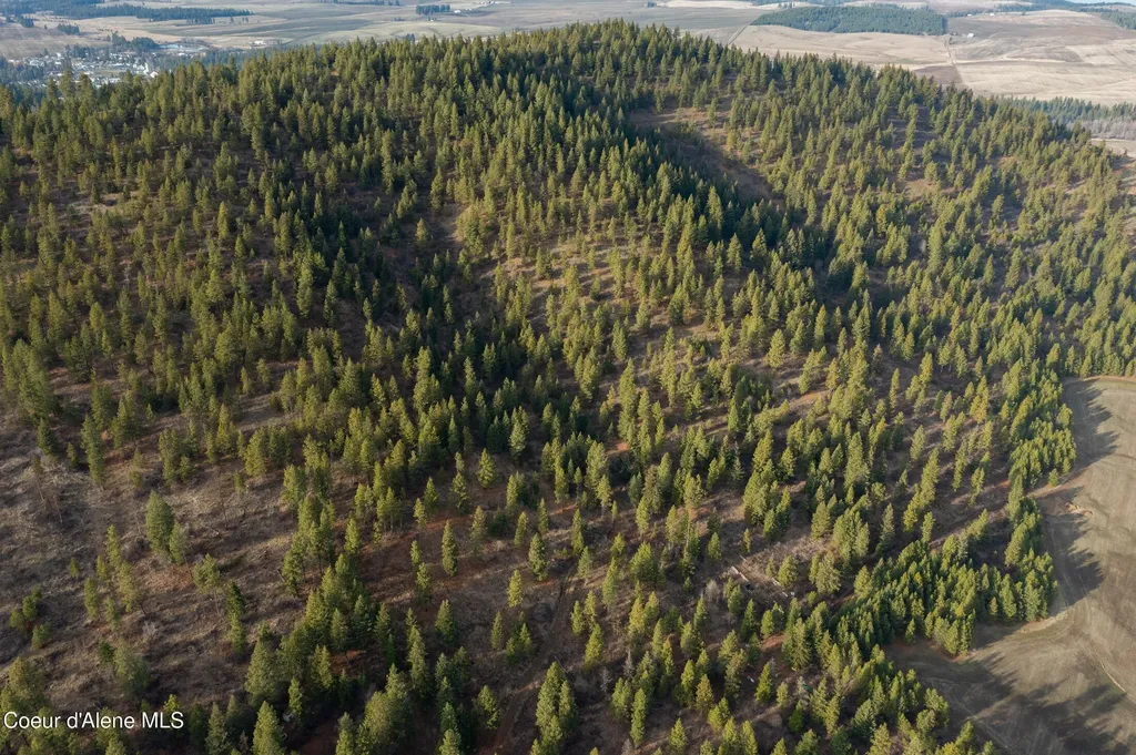 Nka 15 Acres Worley ID 83876