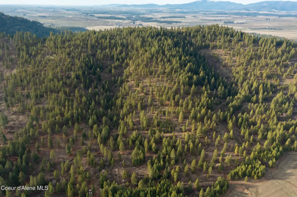Nka 15 Acres Worley ID 83876