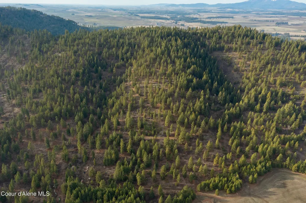 Nka 15 Acres Worley ID 83876