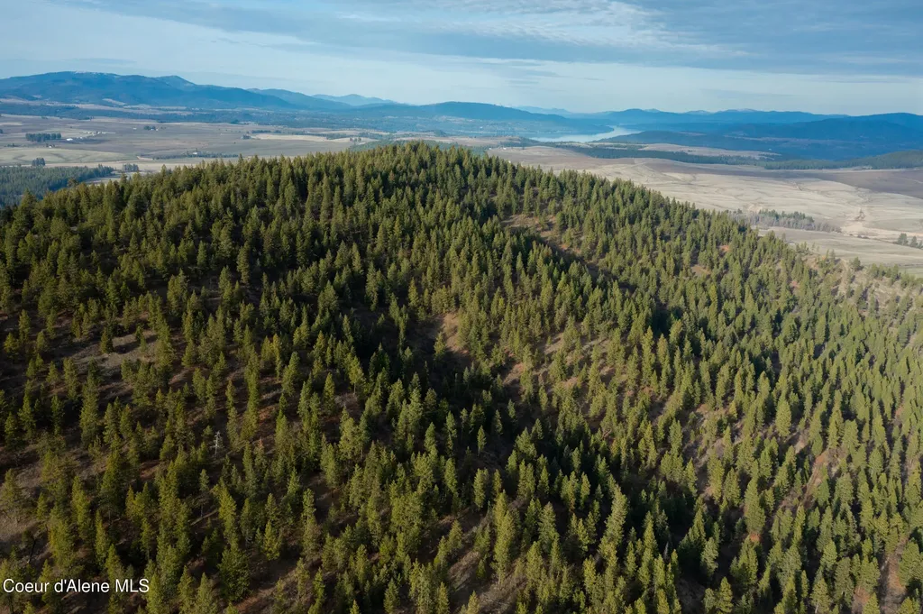 Nka 15 Acres Worley ID 83876
